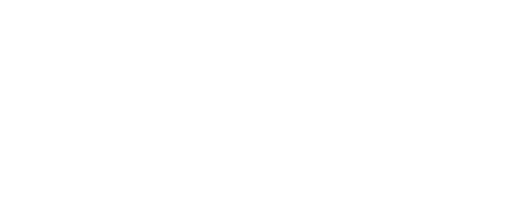 Next4You an etr. project logo